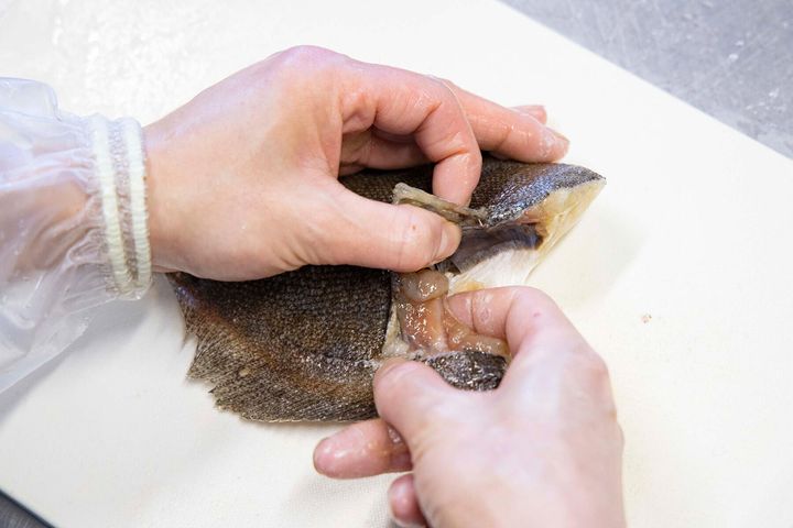 内臓を取り除く