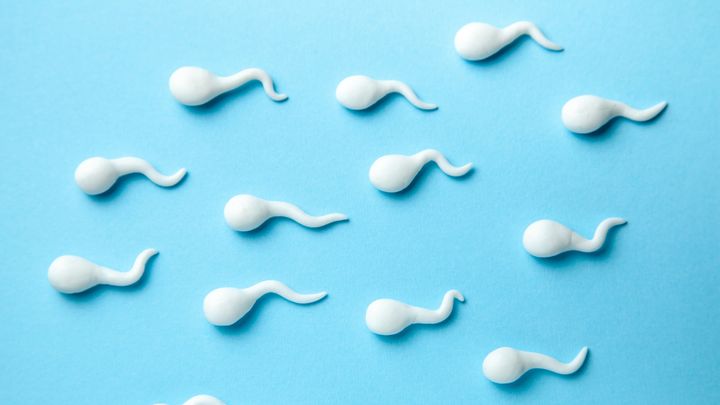 三次試験：適性検査