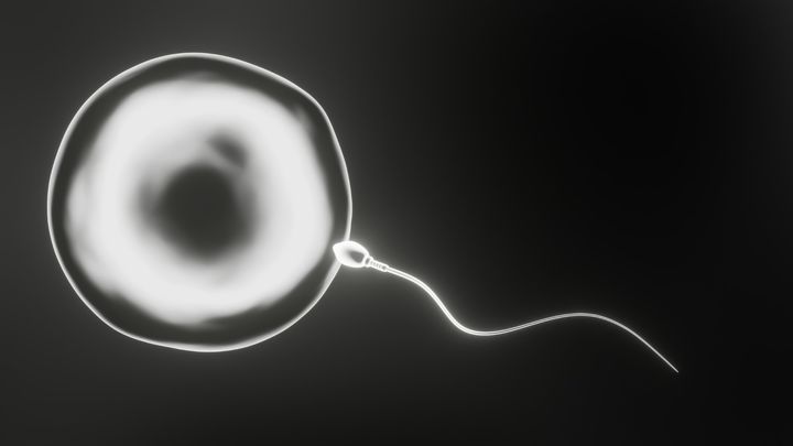 最終試験：障壁の克服と内定