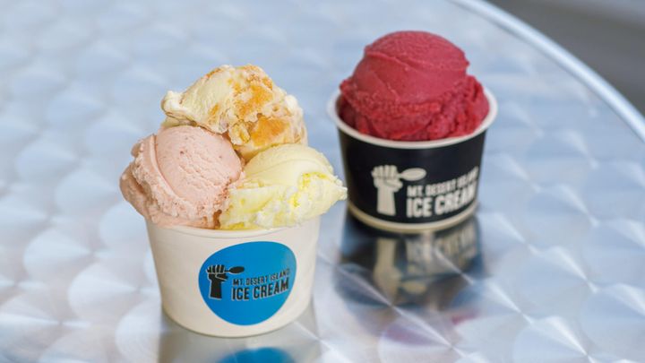 長野〈MT.DESERT ISLAND ICE CREAM〉アイス