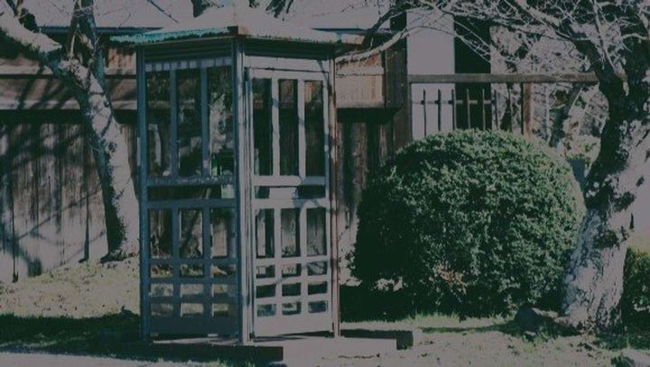 電話ボックスの裏で泣いていたら...（画像はイメージ）