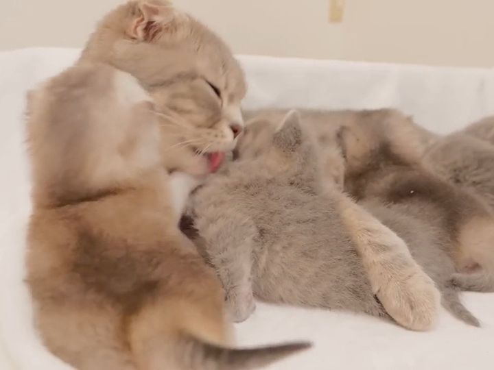 愛情が強すぎる！？