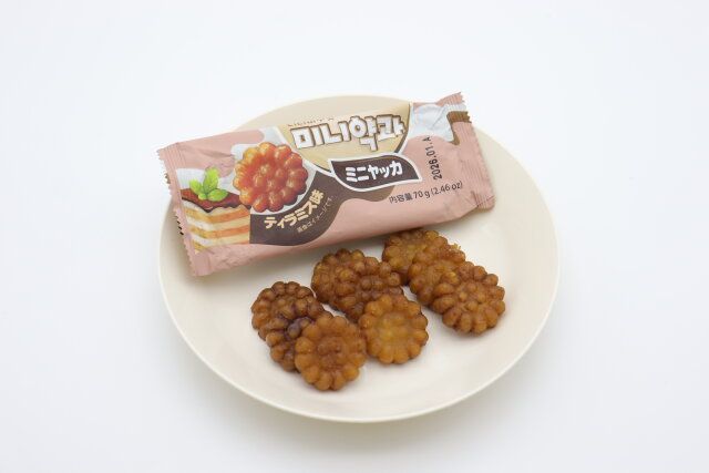 ダイソーのミニヤッカ7