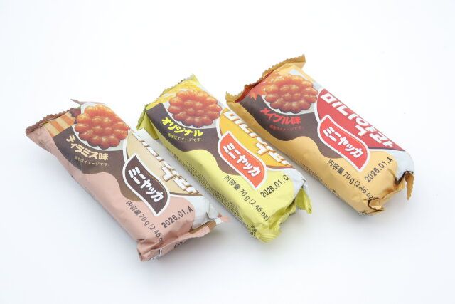 ダイソーのミニヤッカ2