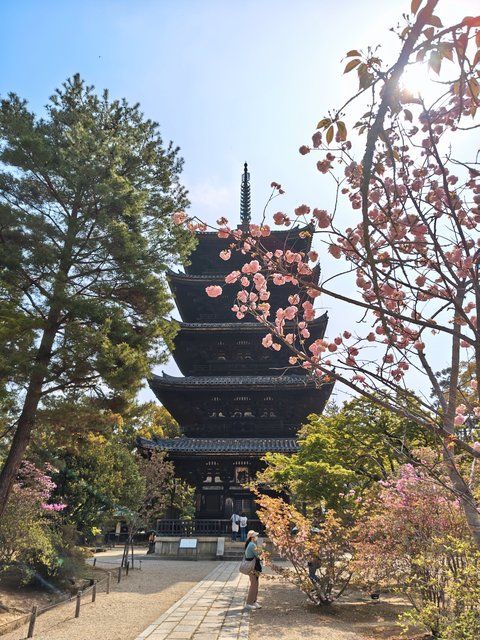 仁和寺の五重塔