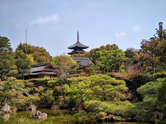 御所庭園・北庭から見える五重塔