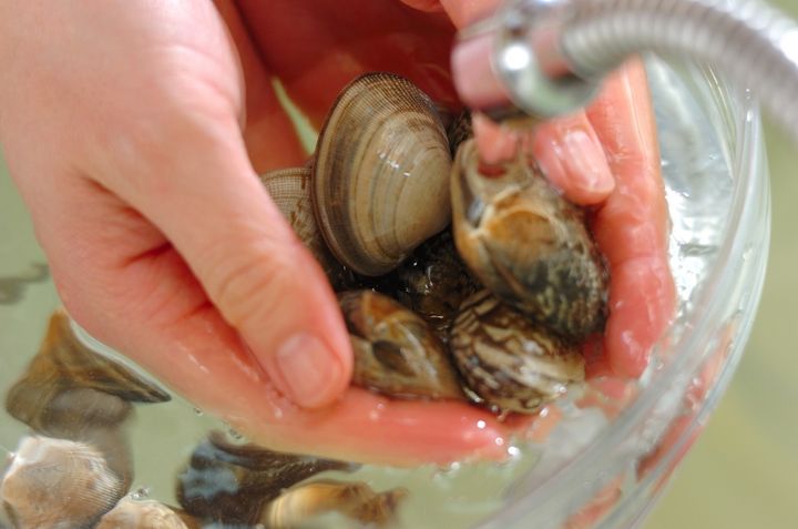 アサリと春キャベツの酒蒸しの下準備1