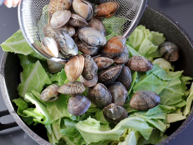 キャベツの上にあさりを乗せる。