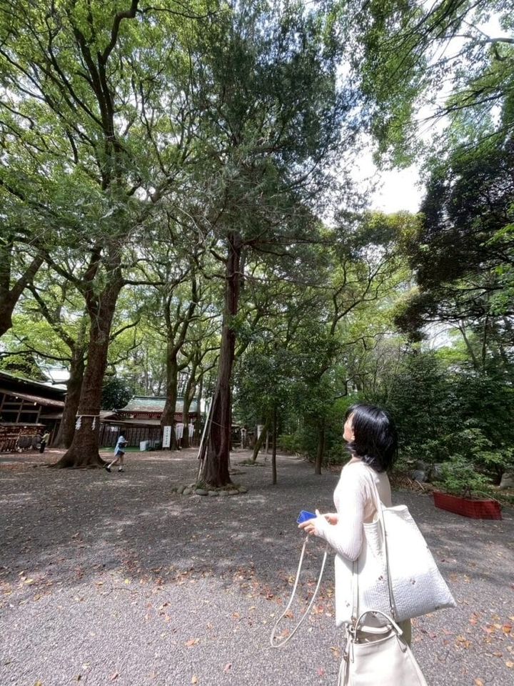 大宮八幡宮の境内