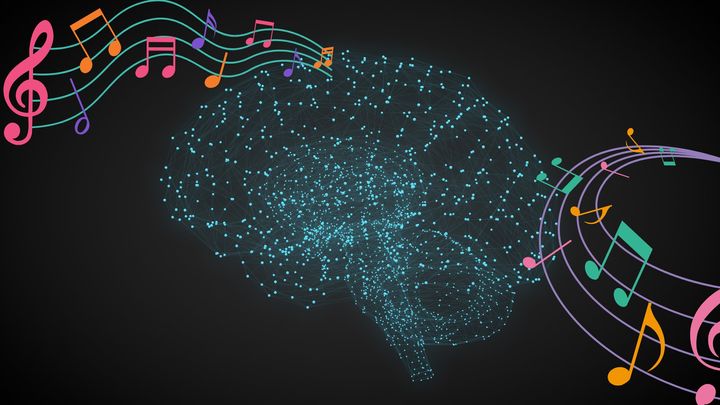 リズムが脳回路を鍛える仕組み