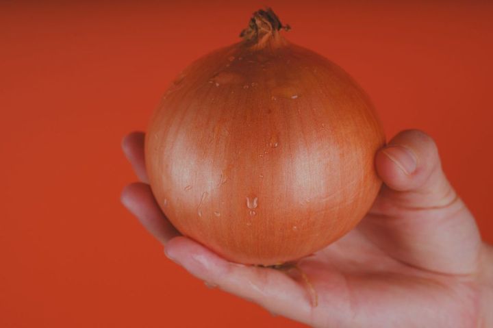 玉ねぎを持つ手元