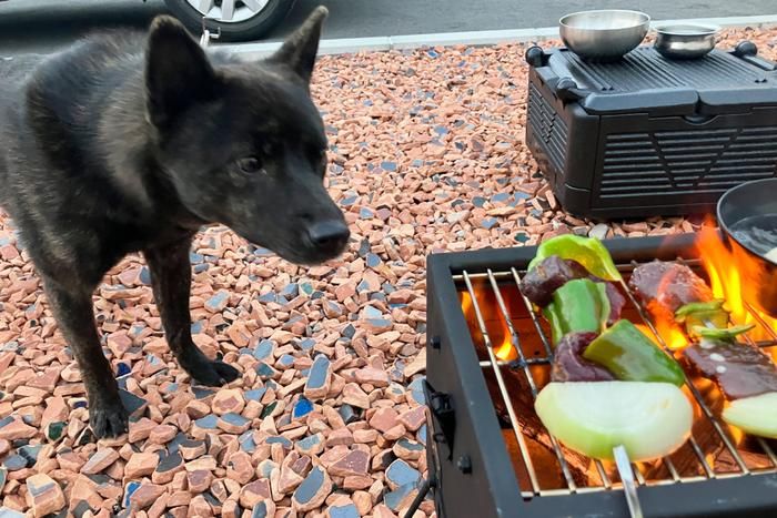 Mt.SUMIの薪ストーブマイクロと犬