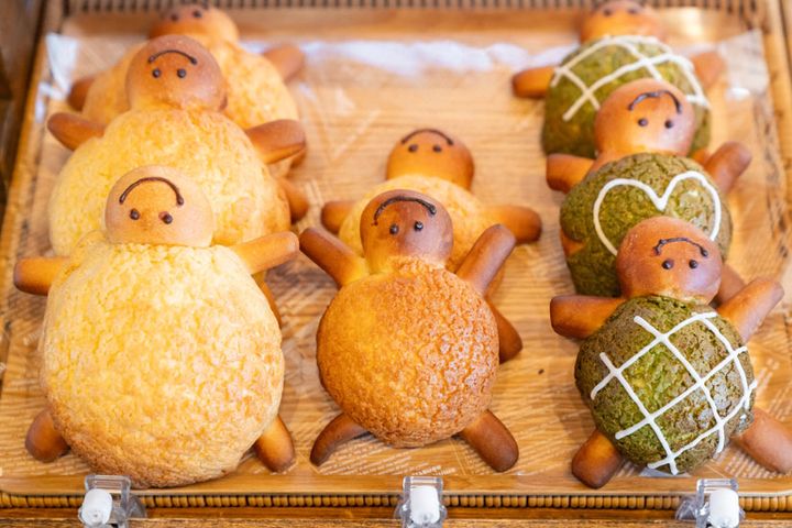 子どもに大人気！カメの形の「カメロンパン」