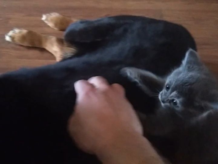 無邪気すぎるって！