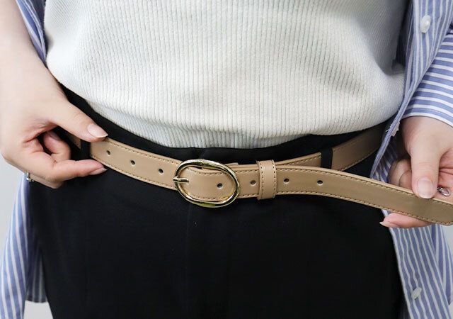 ダイソー ラウンドバックルベルト 使用例