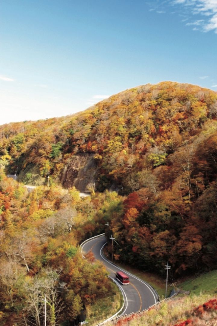 高野山と龍神温泉を結ぶ全長42・７㎞の山岳道路