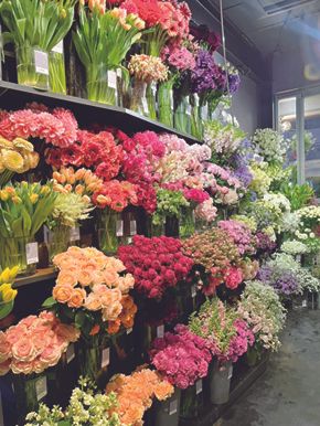 SORCERY DRESSING ephemera