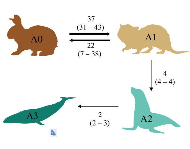 数字は遷移の発生回数（矢印は進化の方向）