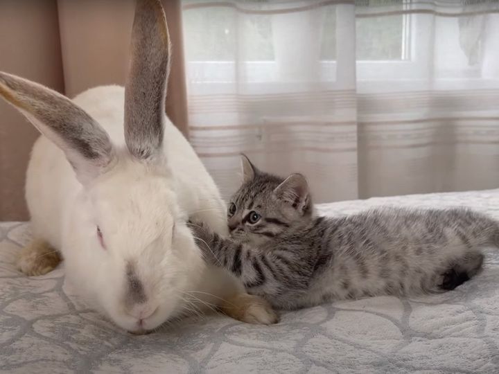 この距離感である