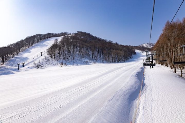GWもまだまだ”お花見”と”雪遊び”が楽しめちゃう！ネコママウンテンへGO！