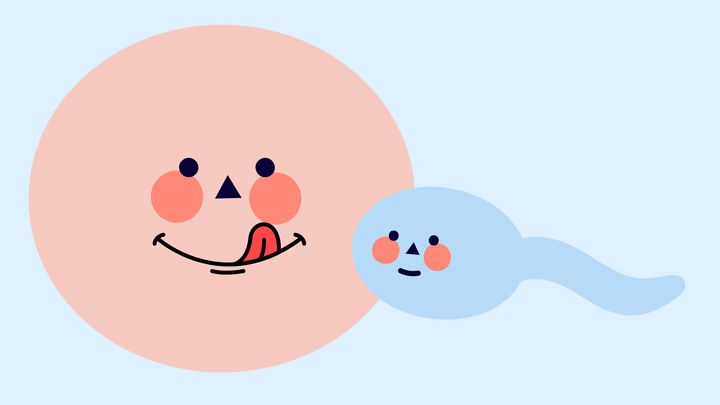 「食べる受精」が塗り替える生殖の常識