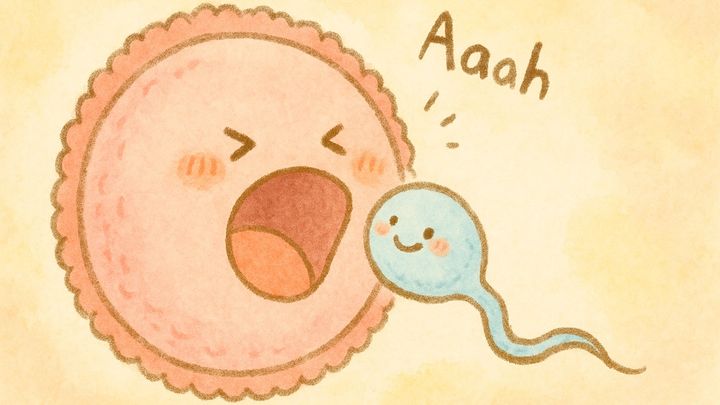 卵子と精子の間にある食う食われるの関係