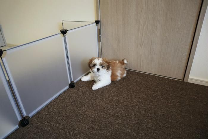100均のアイテムでつくられたペットゲート