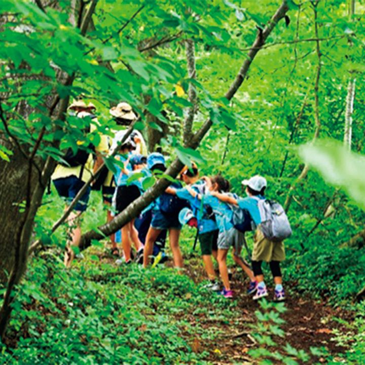 妙高のキャンプで山の中を歩く子どもたち