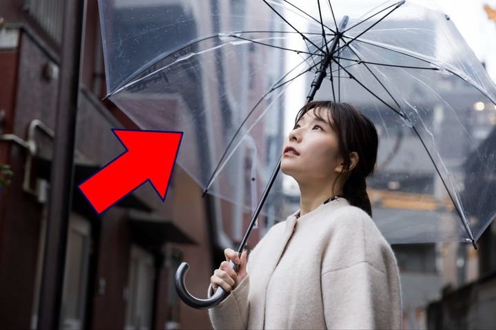 身近な「ビニール傘」、実は……