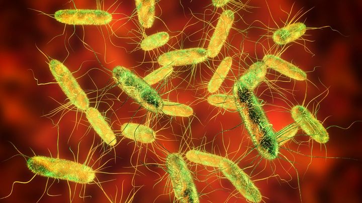 宇宙に生命が溢れるか否かの分岐点