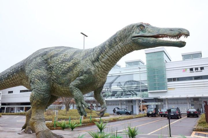 福井、恐竜