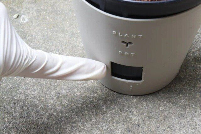 ダイソー 底面給水ポット 4号、12cm