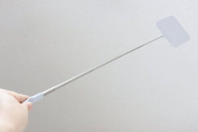 調節ハエたたき 使用例 天井