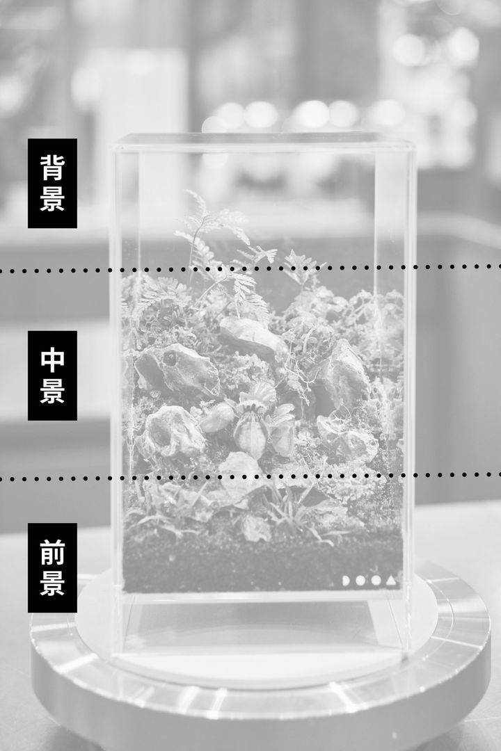 パルダリウムの図解