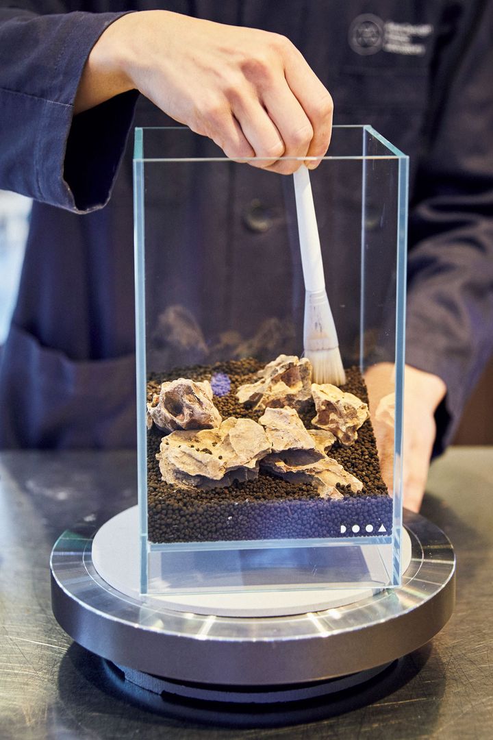 パルダリウムを作る様子