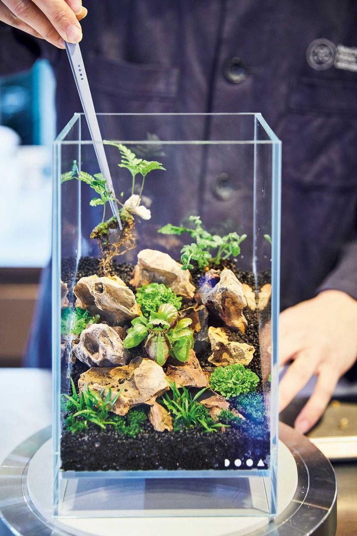 パルダリウムを作る様子