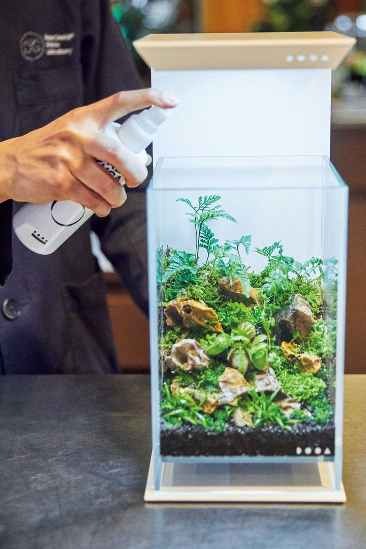 パルダリウムに施肥する様子