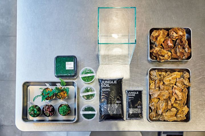 パルダリウムの材料