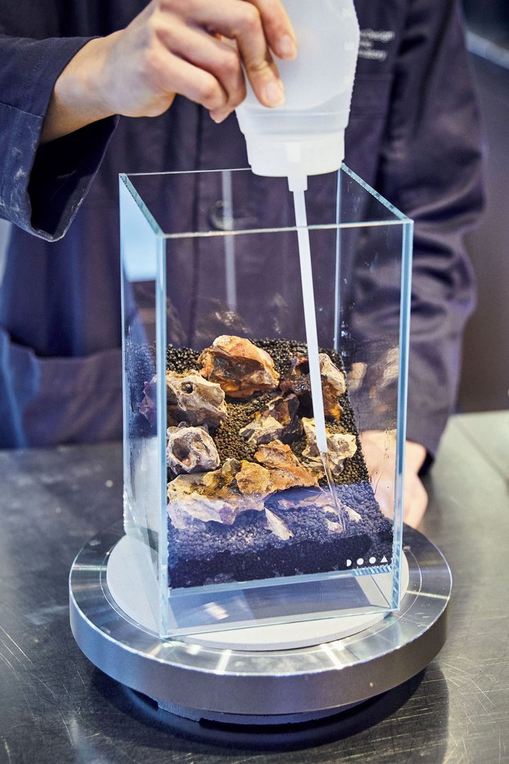 パルダリウムを作る様子