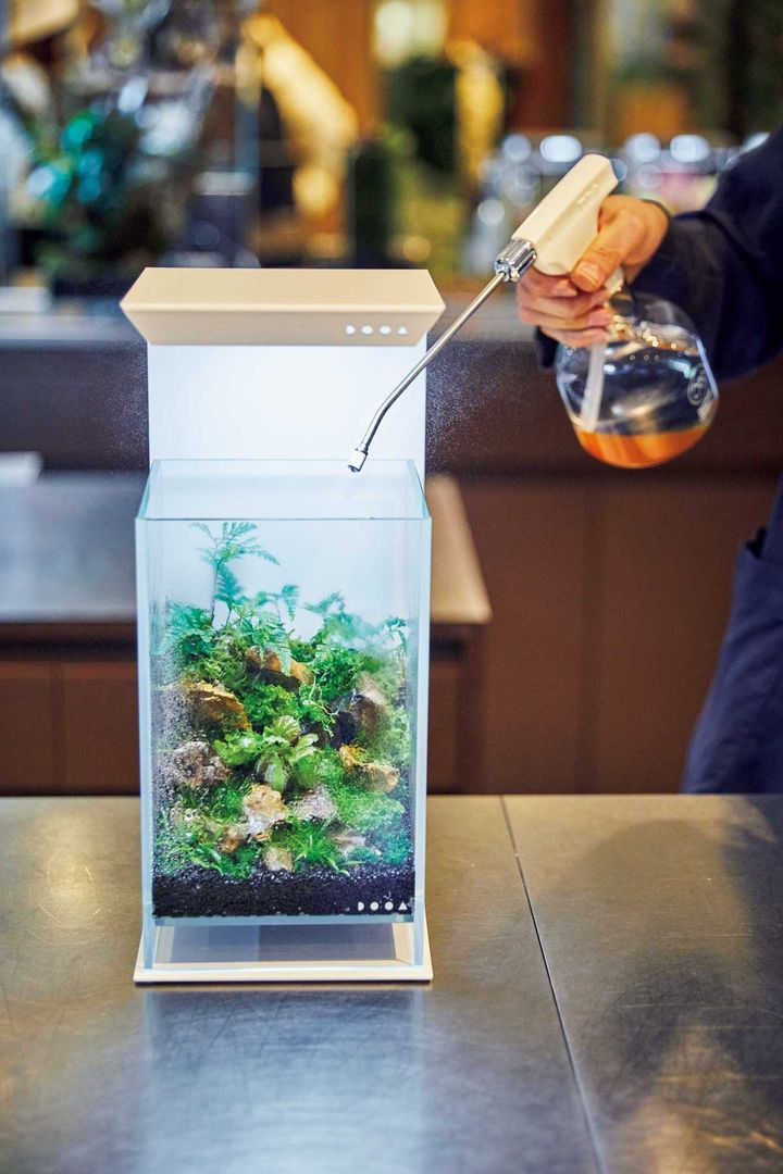 パルダリウムに水やりをする様子