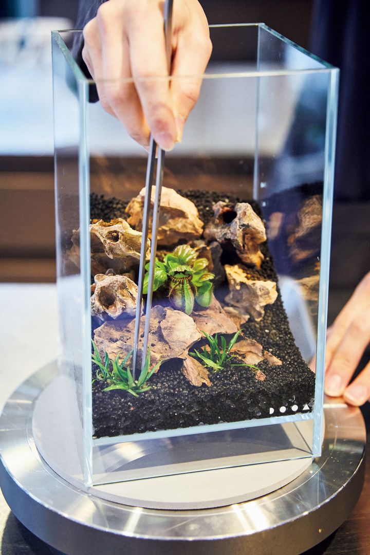 パルダリウムを作る様子