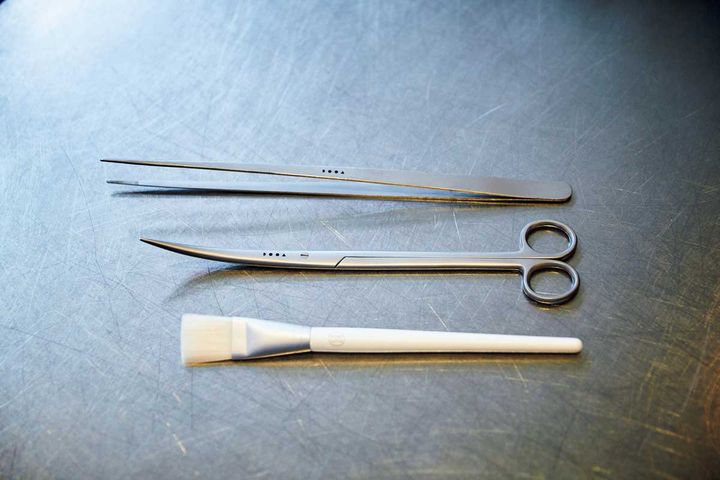 パルダリウム作りに使う道具