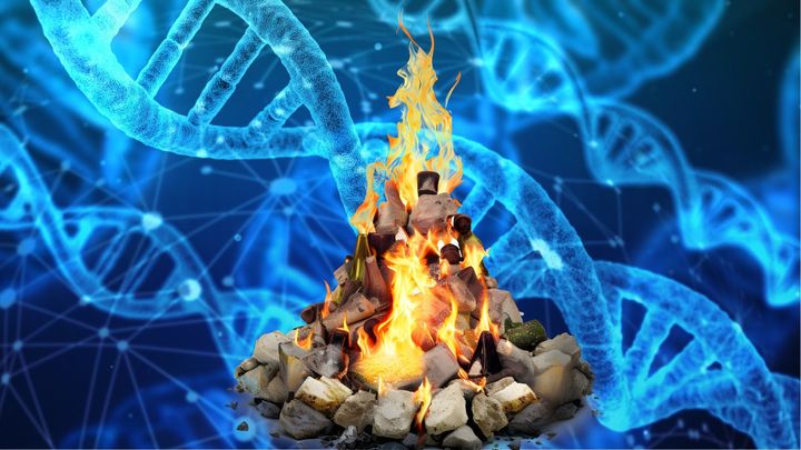 火との共存によって人類の遺伝子は書き換えられていた