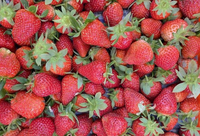 ピッタリな「引き寄せ法」がわかる心理テスト イチゴ