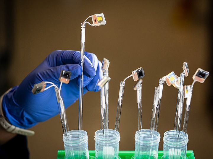 二酸化炭素を吸って燃料を吐く、超光合成を実現