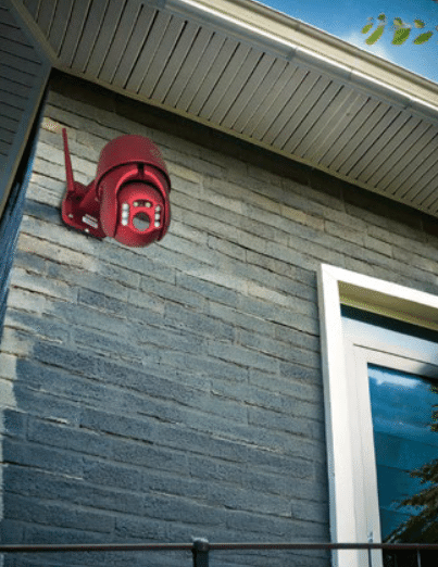 ダイビー ボットアイ／ダイトク