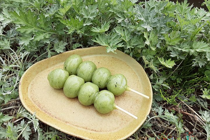 端午の節句の時期によく食べられるヨモギ