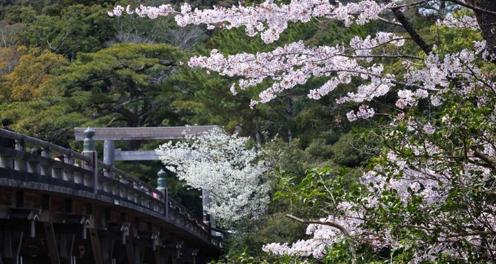 伊勢神宮4月