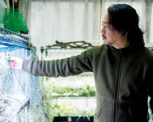 〈ティランジアガーデン〉店主の橋本洸生さん