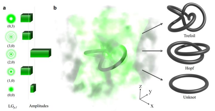 魔法のような「光の結び目」を安定化する方法を発見